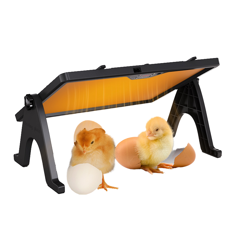 WONEGG Top Sale Temperature Control Bigger