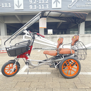 Tricycle électrique familial à assistance au pédalage pour adultes, 3 roues, à vendre / Vélo cargo à trois places, scooter électrique pour la mobilité - Product Image 4