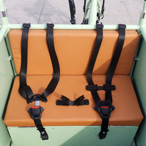Bicicleta Eléctrica de Carga con Cabina de Aluminio de Alta Calidad y Motor Central, con Asiento para Niños - Product Image 3