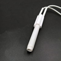 Allumeur céramique 200W à filament chauffant, élément d'allumage à filetage externe, tige pour granulés, 230V haute température 900-1000°C, certifié CE ROHS, longue durée de vie