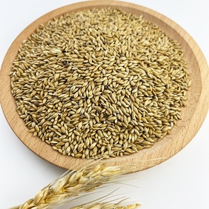 Canary Seeds-Canary Seeds Benefits For Birds // Alpiste Canery Seed Powder For Diabetes // Bulk PET Feed - Product Image 2