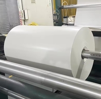 PET/APET/GAG/PETG Feuille Prix Pour Plateau En Plastique