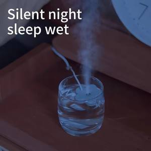 Portable Mini USB with Filter <b>Flower</b> Humidifier Bottle Aroma <b>Diffuser</b> Mist Maker Cool Mist Air Humidifier for Home Office Room - Product Image 4