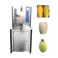 Jiahuang Éplucheur Électrique Automatique pour Peau de Citrouille Ananas Melon Pastèque Papaye
