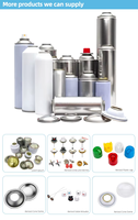 Bouteilles aérosols chimiques vides personnalisables OEM/ODM pour usage industriel avec impression CMYK et emballage en étain