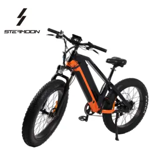 Fazla 250km en büyük uzun menzilli 50 mph elektrikli bisiklet yağ lastik elektrikli bisiklet kar elektrikli bisiklet 48v 1000w e bisiklet ebike