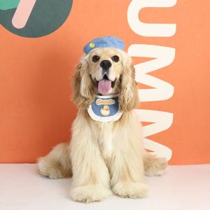 Pet Princess Lace Hoop Embroidered Bow Beautiful Cowboy Beret Cloth Doll Cat <b>Teddy</b> Dog Neck Headpiece Pet Hat - Product Image 6