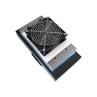 Dispositifs de refroidissement à l'air thermoélectriques WFF-202W-24V durables de silicium de refroidisseur de Peltier pour des modules de gaufrette de semi-conducteur