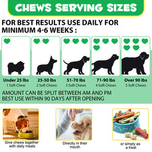 Integratore Nutrizionale Masticabile Pre e Probiotico per Animali Domestici OEM a Marchio Privato per la Salute Intestinale, Pelle, Pelo, Allergie e Sistema Immunitario dei Cani - Product Image 6