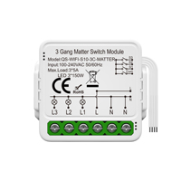 Module de commande d'interrupteur de lumière WiFi domotique intelligent sans fil IoT compatible avec la matière 1/2/3 Gang avec prix d'usine