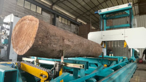 Diesel Powered <strong>Portable</strong> Sawmill Large Capacity Log <strong>Band</strong> <strong>Saw</strong> for Forestry Use - Product Image 5