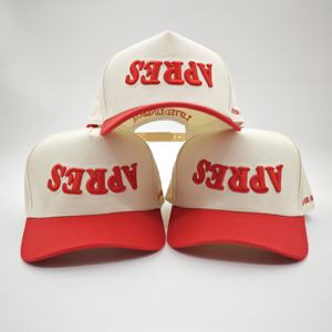 หมวกแก๊ปแฟชั่นกลางแจ้ง หมวกปักโลโก้แบบกำหนดเอง หมวกทรัคเกอร์พรีเมียม หมวกกอล์ฟ หมวกเบสบอลคลาสสิคสองสี หมวกโดบี้ลายผลไม้ - Product Image 6