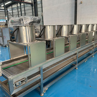 Intelligente Fruitverwerkingslijn Modulair Ontwerp Groentewasmachine Automatische Sorteerkernmotor Voor Watermaïs Tarwenoten