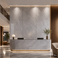 Panneau mural WYRAX en PVC effet marbre Carrara gris clair 2,8 mm, résistant aux UV, pour salle de sport et douche, 1220x2440mm, brillant, anti-humidité