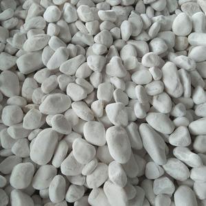 Small Size White Color <b>Pebble</b> <b>Stone</b> Natural <b>Stone</b> - Product Image 1