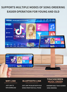 เครื่องคาราโอเกะสไตล์เกาหลีสำหรับบ้านระบบโรงภาพยนตร์เครื่องเล่นคาราโอเกะแบบมืออาชีพ - Product Image 5