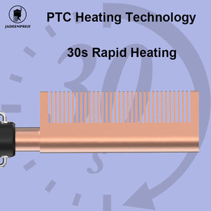 Sisir panas listrik Label pribadi sisir pengeriting dua dalam satu & pelurus dengan 3 pengaturan suhu penggunaan Hotel mati otomatis - Product Image 4