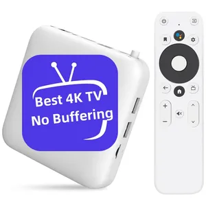 Abd kanada hd 4K bulgaristan için 2024 sıcak danimarka alman IPTV kod bayi paneli Iptv testi ücretsiz M3U hollanda avrupa IPTV paneli