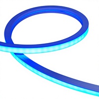Tira de LED de Neón Flexible de 10*10m, DC12V RGBW IP65, Revestimiento de Silicona de Doble Capa, Ra80, Iluminación para Clubes, CE