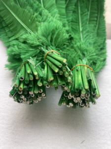 Plumas de avestruz de Carnaval Pluma de avestruz de gran tamaño Venta caliente Avestruz natural <span class=keywords><strong>Nandu</strong></span> para decoración de ropa Carnaval - Product Image 4