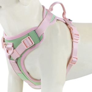 Fournitures pour animaux de compagnie élégantes sans tirer harnais pour chien en néoprène doux, Clip avant personnalisé, gilet réglable de styliste pour chien de compagnie, harnais collier laisse - Product Image 2