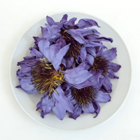 Thé minceur au lotus bleu séché biologique frais - Soins de beauté, qualité supérieure, emballage en vrac/sac, thé en vrac de Anhui Fuli Hall