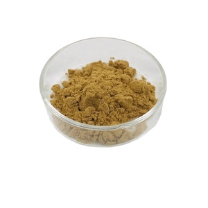 Cápsulas de extracto de cebolla Salud masculina Extracto de cáscara de cebolla roja Extracto de cebolla - Product Image 1