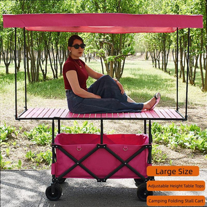Venta Directa de Fábrica de Grandes Cobertizos con Techo Parasol para Almacenamiento de Automóviles, Campamento al Aire Libre - Product Image 5