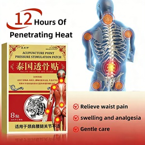 Parche de Medicina Tradicional China con Hierbas Naturales para Aliviar el Dolor, Medicamentos para Uso Externo, Vida Útil de 3 Años - Product Image 2