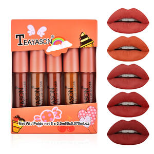 Tianteayason — ensemble de 5 couleurs, maquillage, étiquette privée, liquide scintillant étanche, durable, rouge à lèvres - Product Image 4