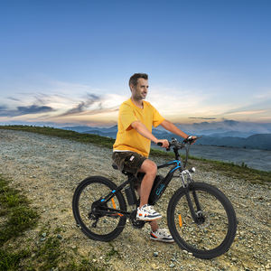 Bicicleta Eléctrica de Montaña de 21 Velocidades, 27.5 Pulgadas, 350W, 36V, 10Ah - Product Image 1