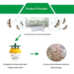 Piège à phéromones durable en forme de seau pour le contrôle des mites et des larves de la chenille des blésoirs - Product Image 6