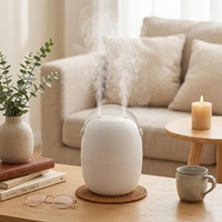 Humidificateur d'air portable USB à brume froide pour bébé, aromathérapie, mini, décoratif, pour chambre à coucher, maison, bureau, bouteille d'eau