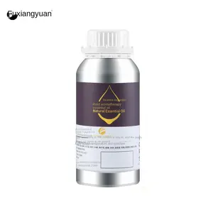 High-End Elegante Geur, Ultrasone Aroma Diffuser Speciale Plant Extract Aromatherapie Oliekruid In De Lobby Van Gaoliang