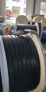 สายไฟฟ้าแบบแบนหลายแกนชนิดเฟสตูน - Product Image 6
