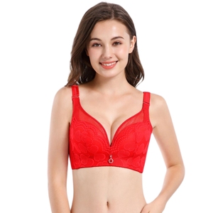 Soutien-gorge en dentelle grande taille pour femme soutien-gorge en maille grande taille soutien-gorge push up en dentelle grande taille - Product Image 4