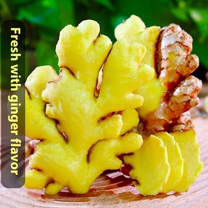 Hữu Cơ Voi Gừng Gốc Tươi Và Sạch Rửa Sạch G.A.P Chứng Nhận Khô Gừng Tại Giá Bán Buôn - Product Image 3