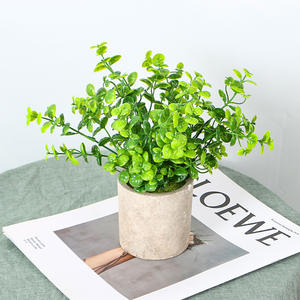 Pâte de plastique populaire en <span class=keywords><strong>pot</strong></span> simulé floqué <span class=keywords><strong>eucalyptus</strong></span> chambre intérieure écologique fleurs artificielles salon - Product Image 1