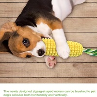 Jouet à mâcher pour animaux de compagnie en TPR souple, corde en coton, brosse à dents, bâton de dentition, jouet anti-stress pour petits chiens et chatons