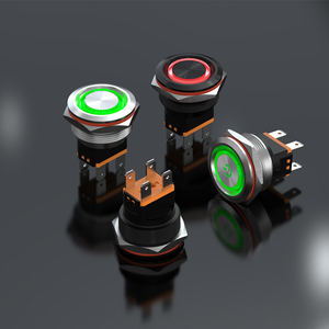 Lanboo 25C 25 mét cao-hiện tại 15A LED <span class=keywords><strong>push</strong></span> <span class=keywords><strong>button</strong></span> chuyển 2NO tự động hóa công nghiệp thiết bị tùy chỉnh chiều dài 22 mét gắn lỗ 24V - Product Image 4