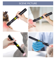 Stylo d'acupuncture laser froid infrarouge de qualité clinique LLLT pour les douleurs dorsales, les douleurs aux épaules et la fibromyalgie