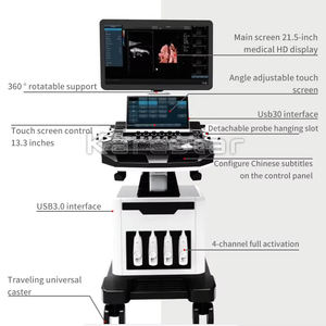 Beberapa Probe 3D 4D Digital Vet <span class=keywords><strong>ultrasound</strong></span> <span class=keywords><strong>Scan</strong></span> warna Doppler mesin <span class=keywords><strong>Ultrasound</strong></span> troli dokter hewan <span class=keywords><strong>ultrasound</strong></span> - Product Image 6
