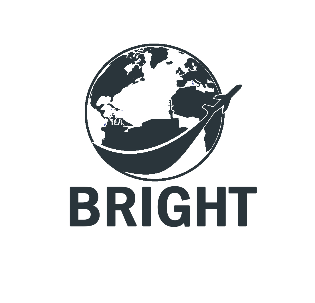 Dongguan Bright International Supply Chain Co., Ltd. logo