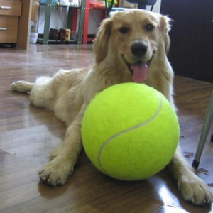 Toptan çevre dostu kauçuk 24 cm <span class=keywords><strong>Jumbo</strong></span> şişme 9.4 inç tenis topu interaktif köpek oyuncak - Product Image 1