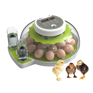 TUOYUN Precio <span class=keywords><strong>Sorpresa</strong></span> 8 1 Año Incubadoras para <span class=keywords><strong>Huevos</strong></span> Incubar Mini Incubadora de <span class=keywords><strong>Huevos</strong></span> Totalmente Automática - Product Image 1