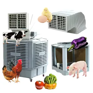 18000CMH 20000CMH 1.1 Kw 1.5 Kw Low Noise Energy Saving Industrial Commercial Evaporative Swamp Duct Air Cooler with CE