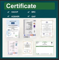 Verkoop Beste Prijs Gecertificeerd Kwaliteit Doorgegeven Haccp Bulk Groothandel Verse Iqf Invriezen Type Bevroren Blackberry Hele Fruit