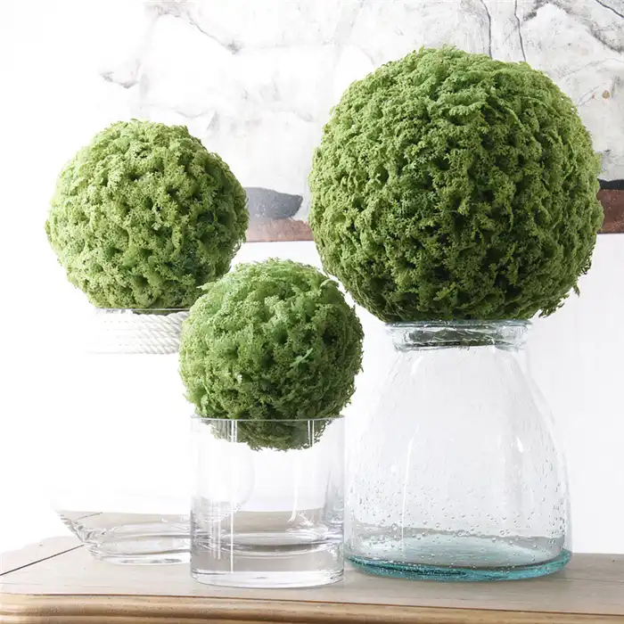 qslhfh-1058 high quality indoor decoration green