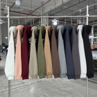 Sweat-shirts sportifs à capuche personnalisés en coton épais coupe ample avec logo sur mesure pour homme – Collection Hiver Solide Non-tissé Streetwear OEM