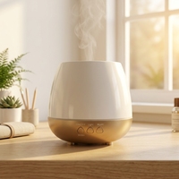 Diffuseur d'huiles essentielles à ultrasons, brume froide, purificateur d'air, diffuseur d'arômes pour l'aromathérapie, support OEM et ODM, diffuseur de parfum